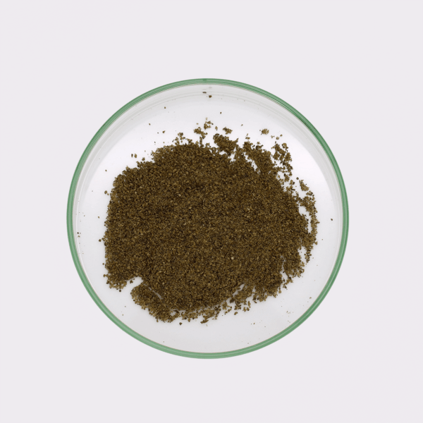 Ascophyllum-Pulver