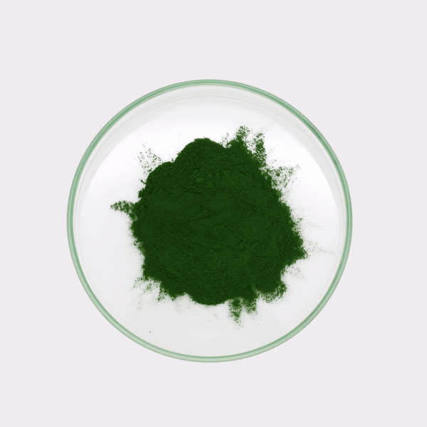 Chlorella-Pulver