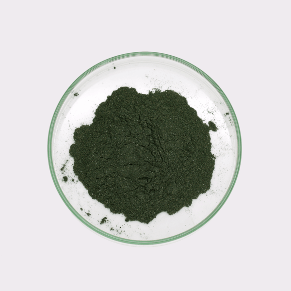 tastyPlankton Plankton Powder